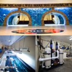 aquarium with holding tanks